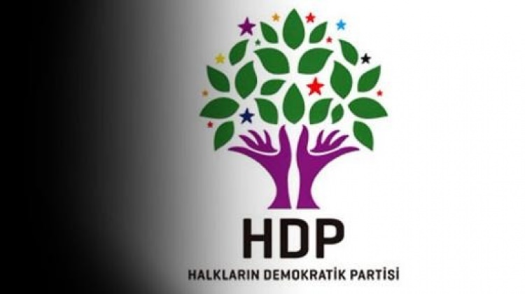 HDP Ağrı İl Başkanı Arpaç'a tutuklama