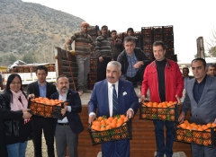 Adana'dan Mehmetçiğe 60 ton portakal