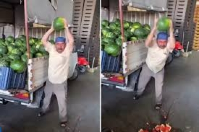 Vatandaş ucuza yemesin diye hepsini tek tek parçaladı