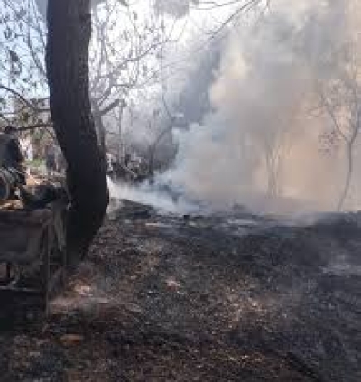 Adana'da Orman Yangını