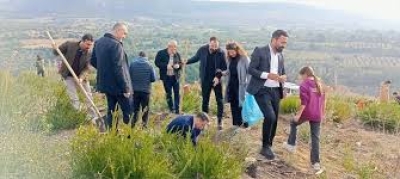 Kozan'da Fidan Dikim Etkinliği