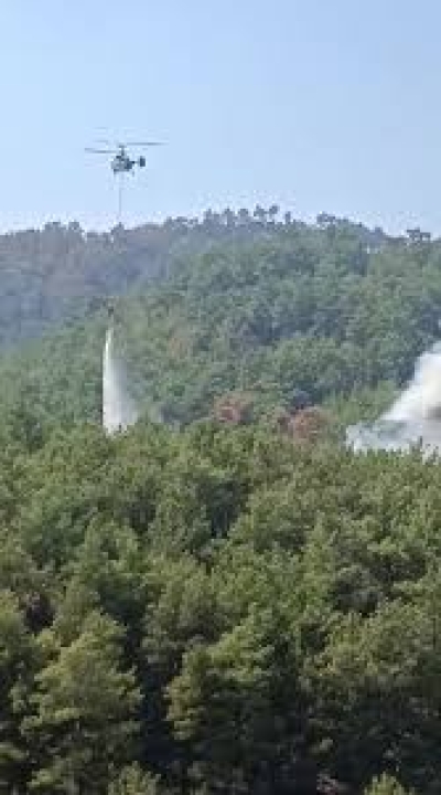 Kozan'da kontrol altına alınan ormanlık alanda yangın yeniden çıktı
