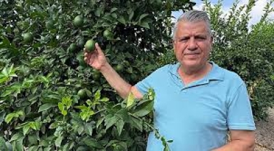 Barut, limonda 10 liralık maliyete dikkat çekti, hal yasası çağrısı yaptı