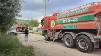 Kozan'da ahırda yangın: 15 inek ve 6 buzağı öldü