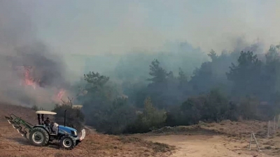 Ormanlık alana sıçrayan yangın kontrol altına alındı