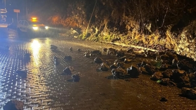 Yol kenarındaki istinat duvarı yağış sonrası çöktü