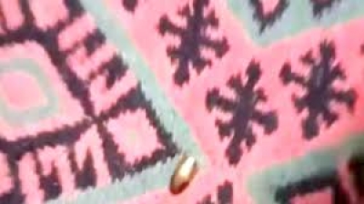 Kozan'da Yorgun Mermi Paniği