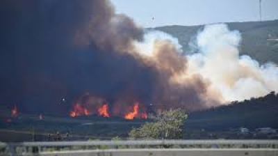 İzmir'de Orman Yangını: 455 Ev Tahliye Edildi
