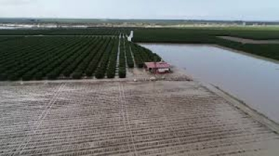 Çiftçiye Kayıkla Ziyaret