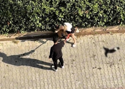 Pitbull'un Kediyi Parçaladığı Olayda Sahibi Ceza Aldı