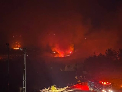 Kozan'da orman yangınına müdahale sürüyor, hava araçları sabah yeniden çalışacak